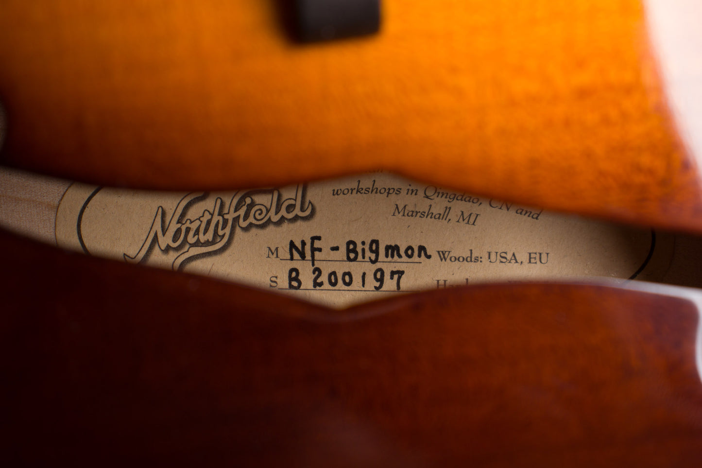 Northfield NF- Big Mon Carved Top Mandolin (2020)