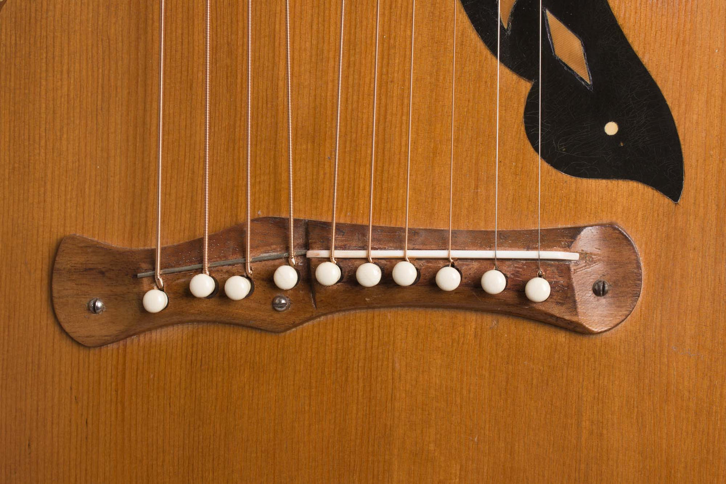 Knutsen 10 String Harp Guitar (1915)