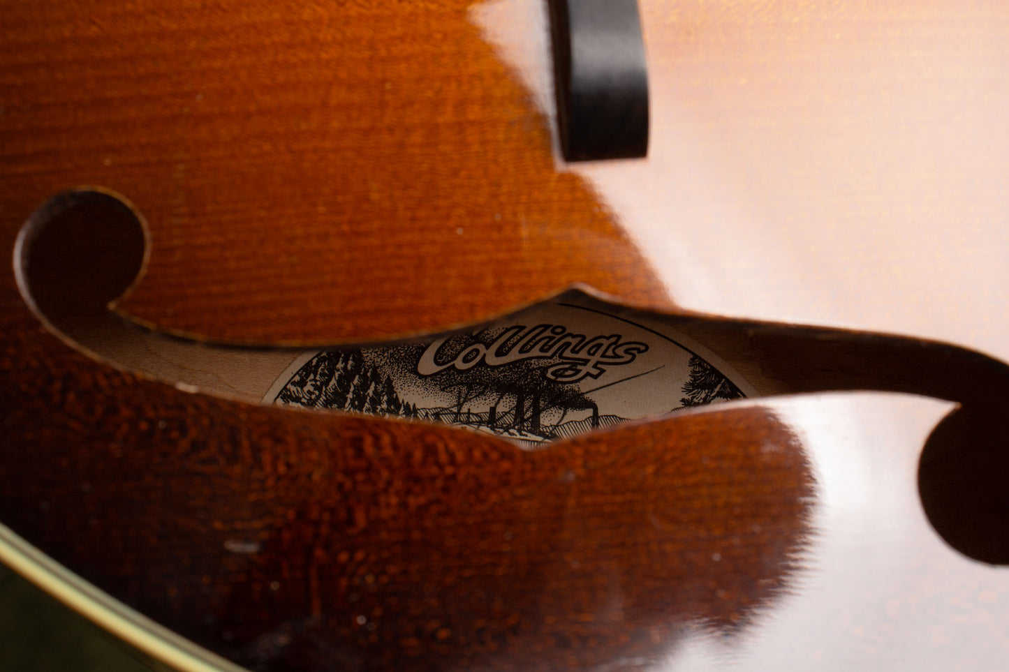 Collings MT-2 Carved Top Mandolin (2009)