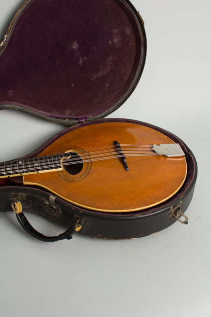 Gibson Style H-1 Carved Top Mandola (1910)