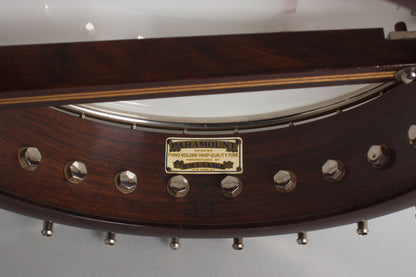 Paramount Leader Tenor Banjo (1929)