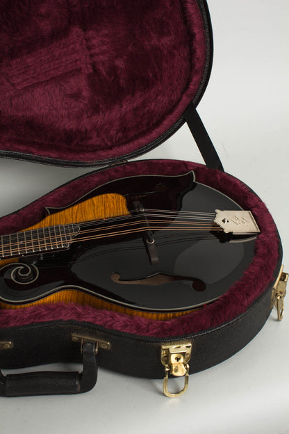 Northfield NFA-F5IE Carved Top Mandolin (2025)