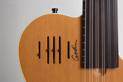 Godin Glissentar Fretless Semi-Hollow Body Electric Guitar (2004)