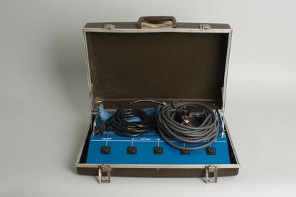 Roland GR-300 Polyphonic Guitar Synthesizer with G-505 Solid Body Electric Guitar (1982)