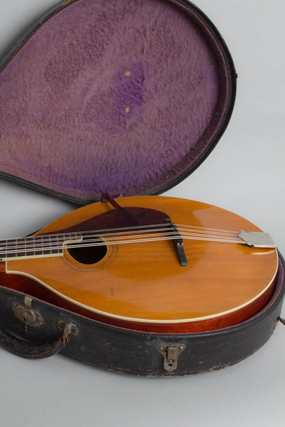 Gibson K-1 Carved Top Mandocello (1915)