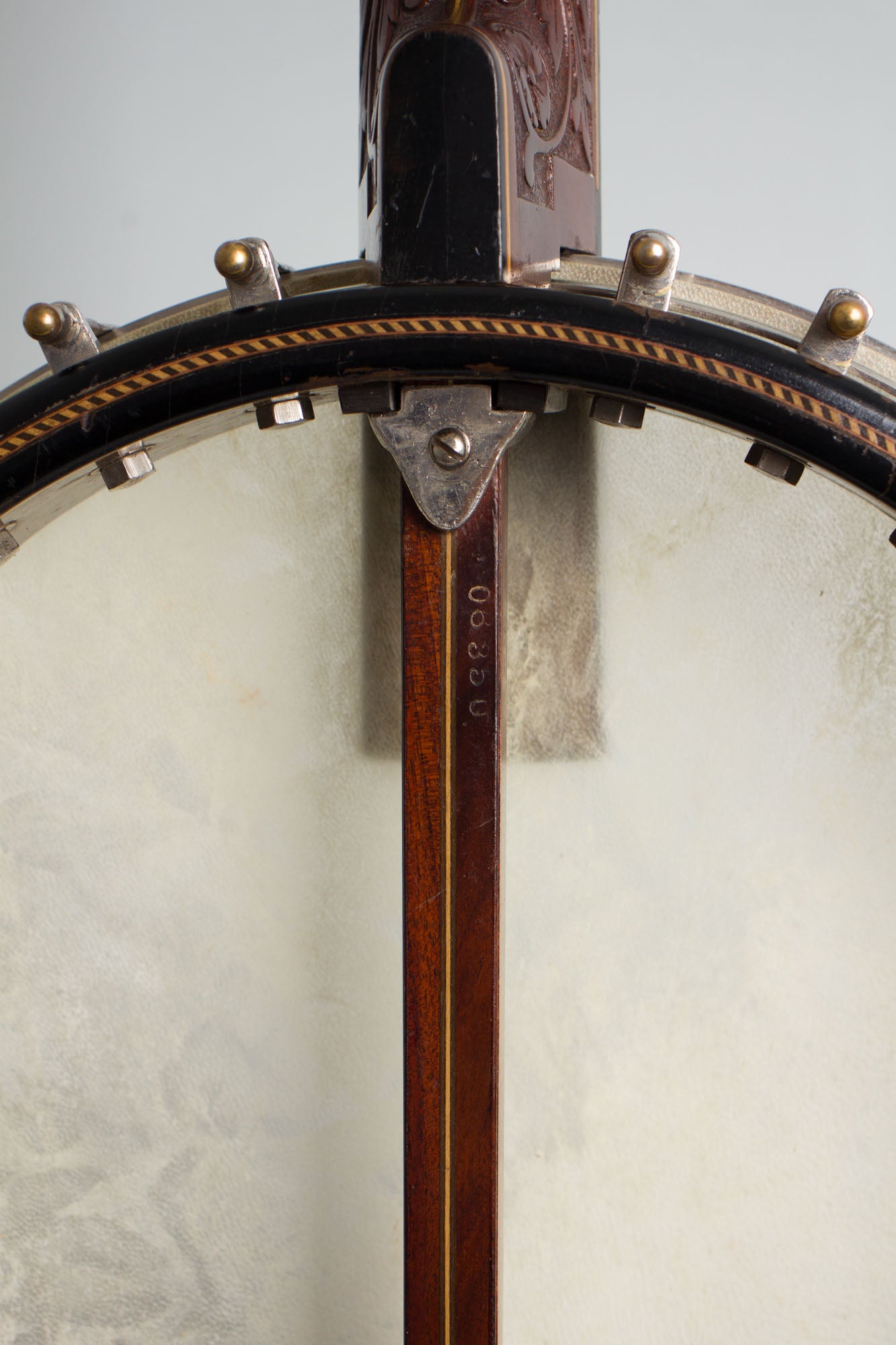Orpheum Brass Band 5 String Banjo (1914)