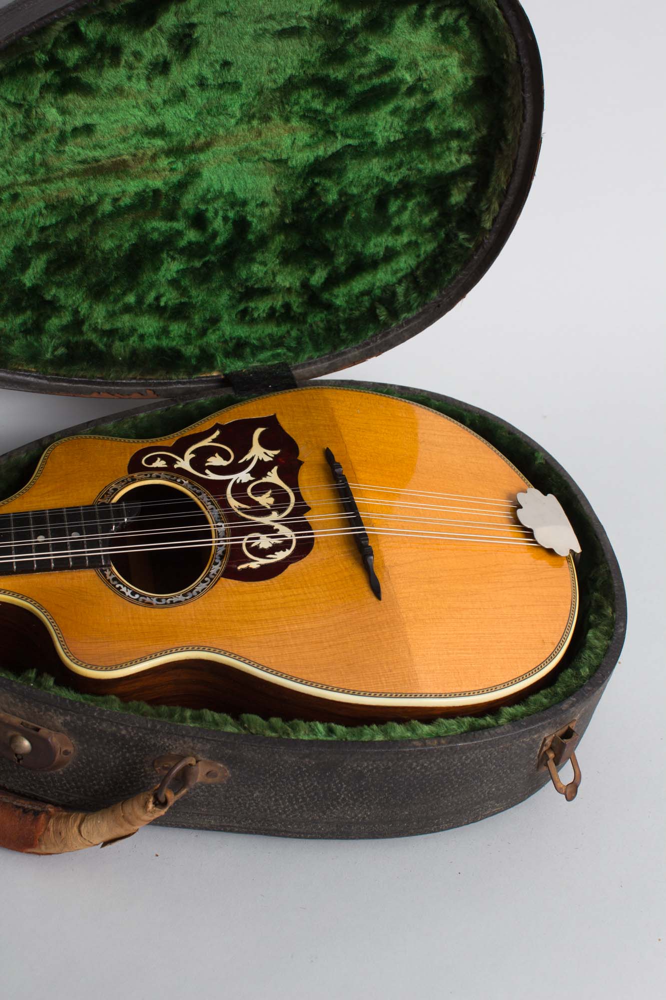 Favilla Flat Back, Bent Top Mandolin (1920s)