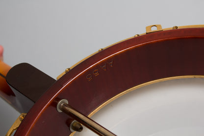 Gibson TB-800 Mastertone Deluxe Tenor Banjo (1960s)