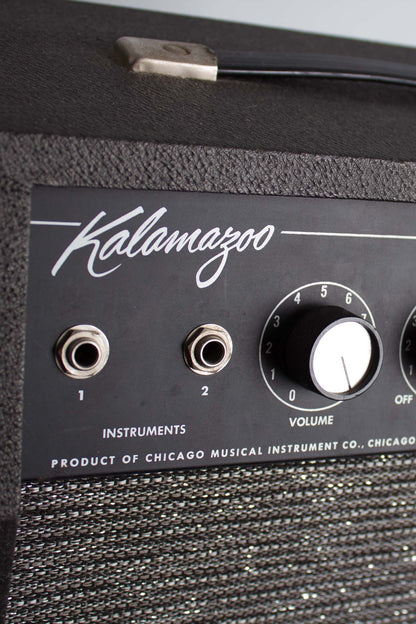 Kalamazoo Model Two Tube Amplifier (1966)