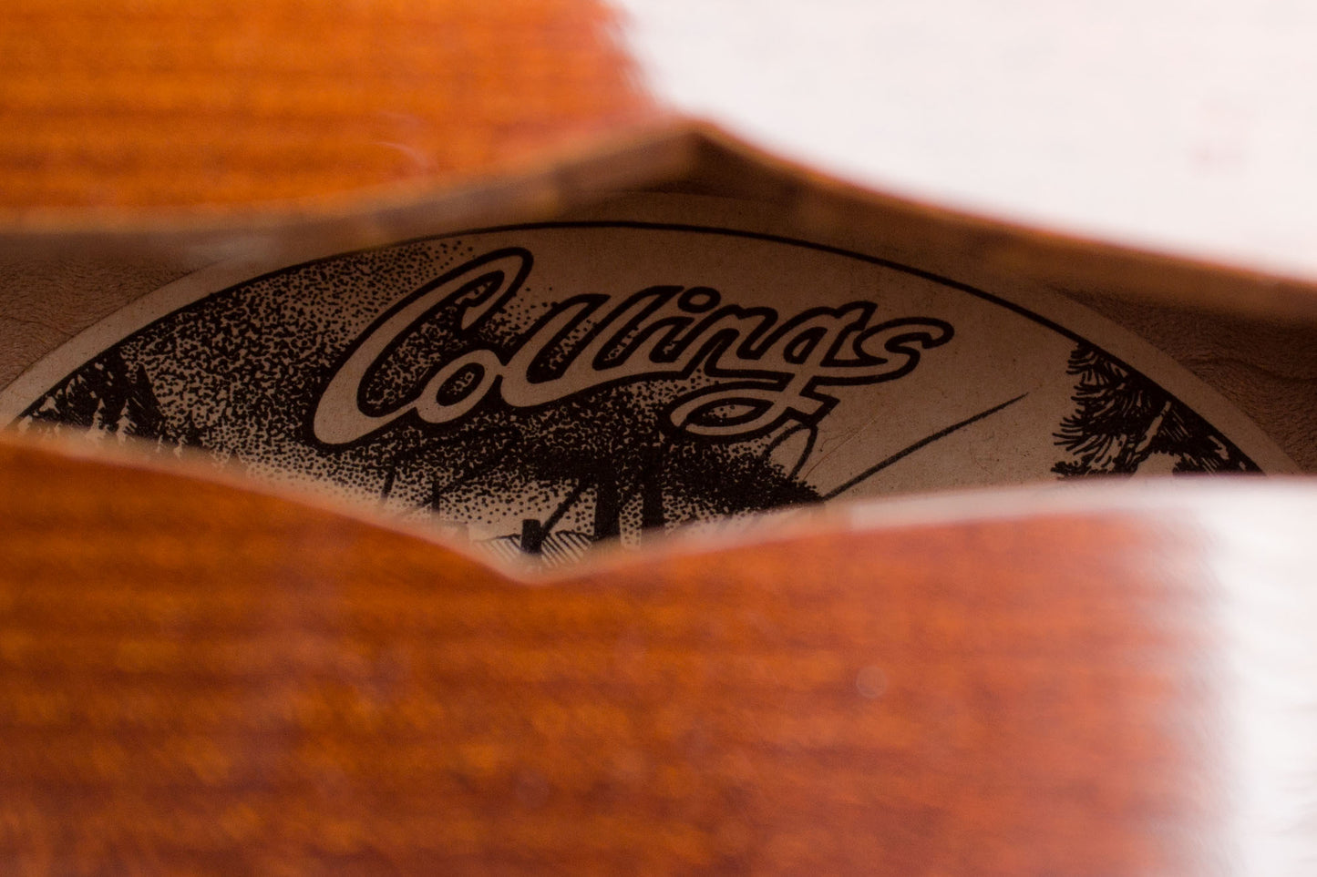 Collings MF5 Carved Top Mandolin (2003)