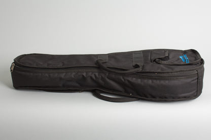 C. F. Martin Style B Flat Back Mandolin (1917)