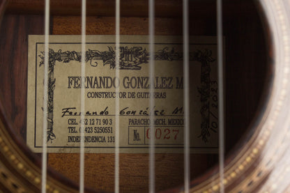 Fernando Gonzalez M. Classical Guitar (2023)