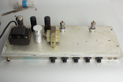 Fender Princeton Tube Amplifier (1969)