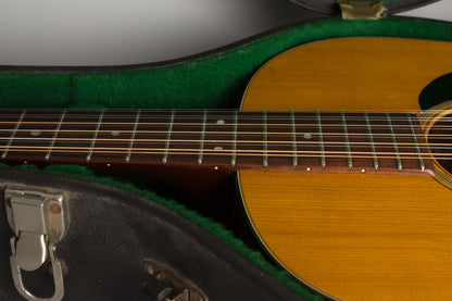 C. F. Martin D-12-20 12 String Flat Top Acoustic Guitar (1967)