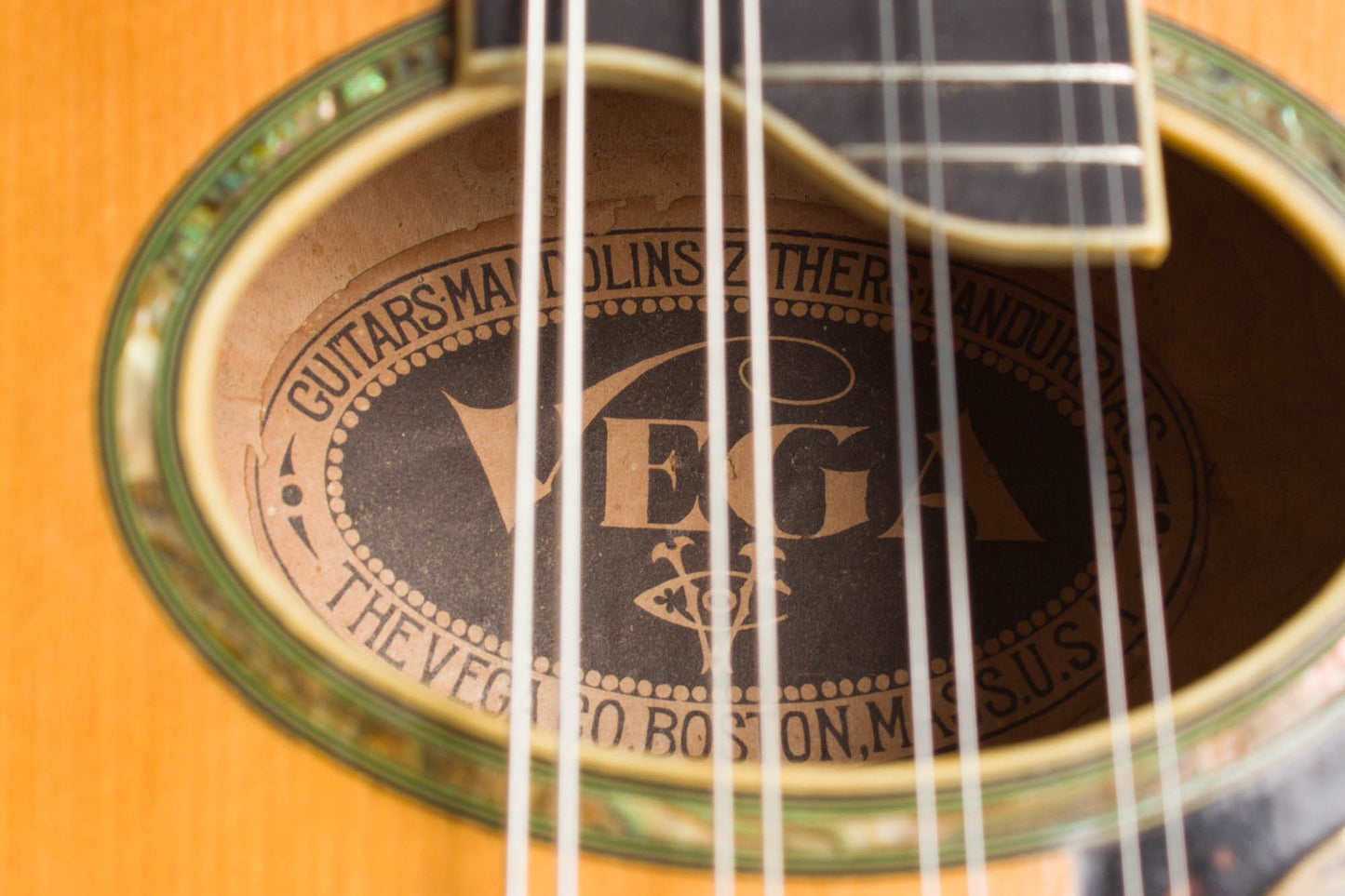 Vega Cylinder Back Model 205 Mandolin (1917)