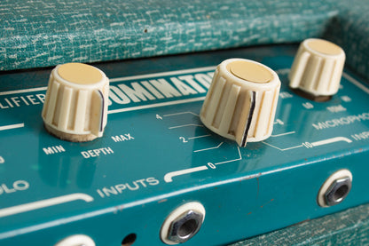 Watkins Dominator Tube Amplifier (1963)