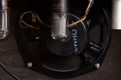 Fender White Tube Amplifier (1956)