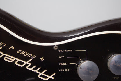 Burns Ampeg Wild Dog EG-1S Jazz Split Sound Solid Body Electric Guitar (1964)