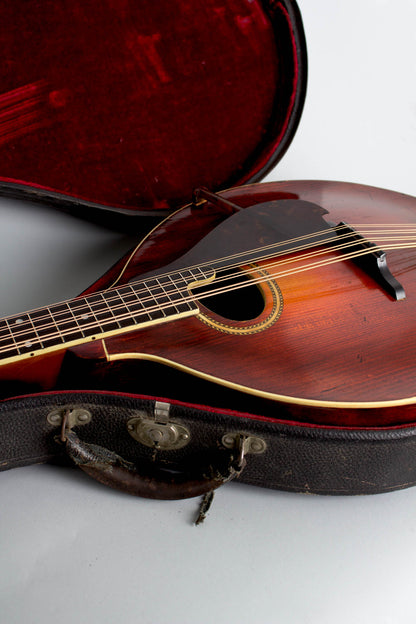Gibson K-2 Carved Top Mandocello (1912)