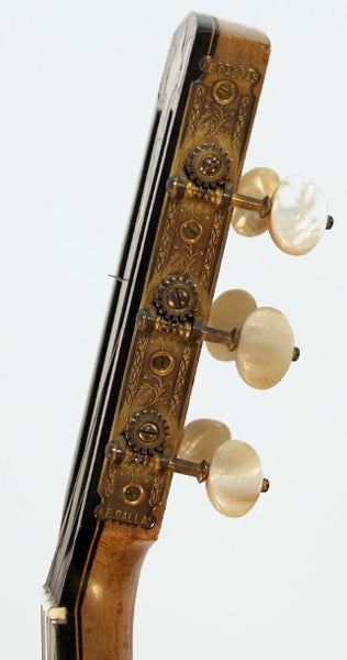 J.E. Dallas 5 String Zither Banjo (1900)