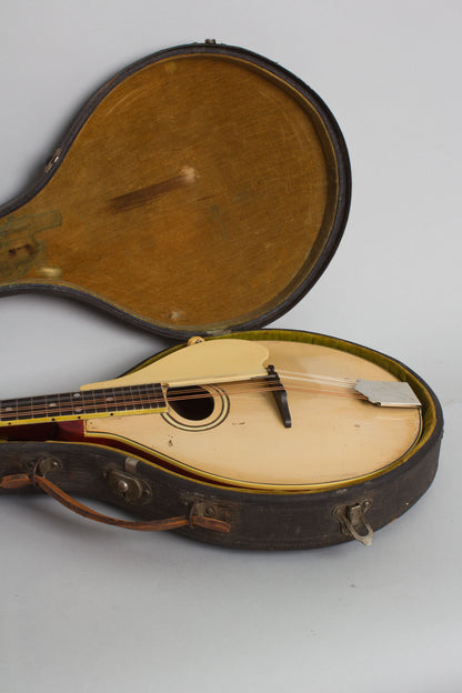 Gibson Model A-3 Carved Top Mandolin (1919)
