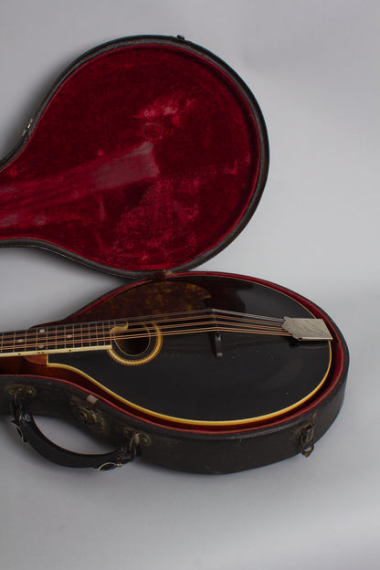 Gibson H-2 Carved Top Mandola (1913)