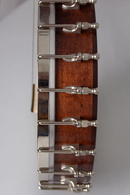 Bart Reiter Dobaphone 5 String Banjo (2020)