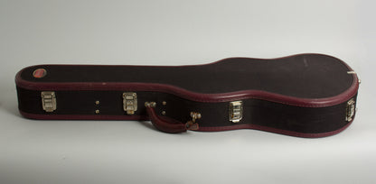 Scott Walker Phoenix Custom Made for Steve Kimock Solid Body Electric Guitar (2009)