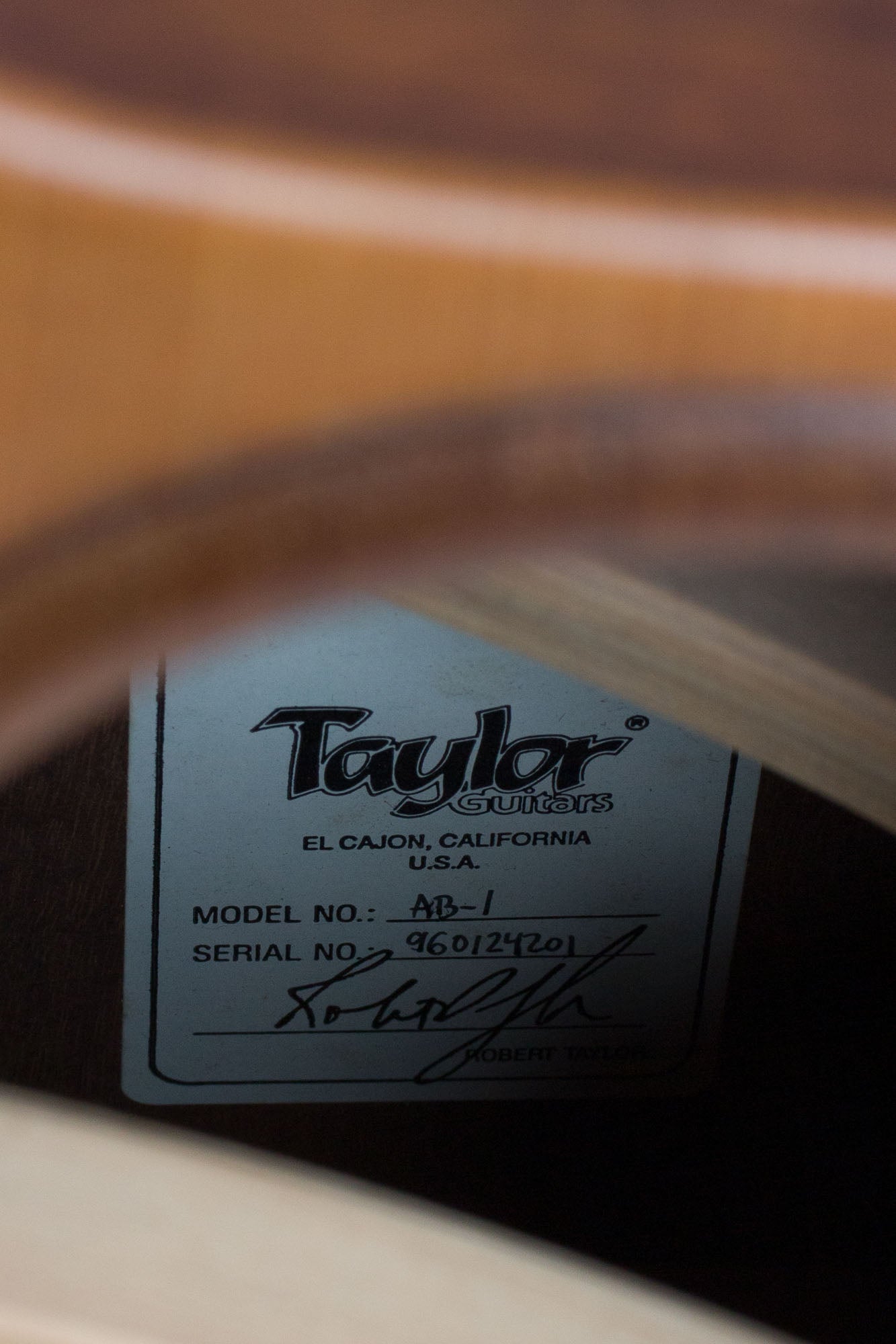 Taylor Klein AB-1 Acoustic-Electric Bass Guitar (1996)
