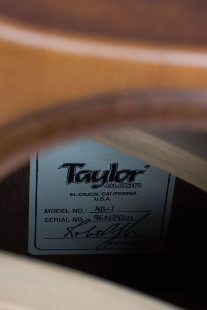 Taylor Klein AB-1 Acoustic-Electric Bass Guitar (1996)
