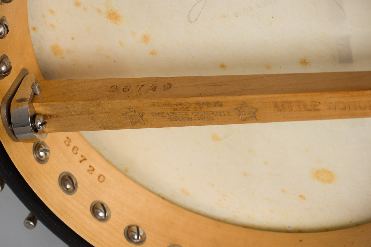 Vega Fairbanks Little Wonder Mandolin Banjo (1917)