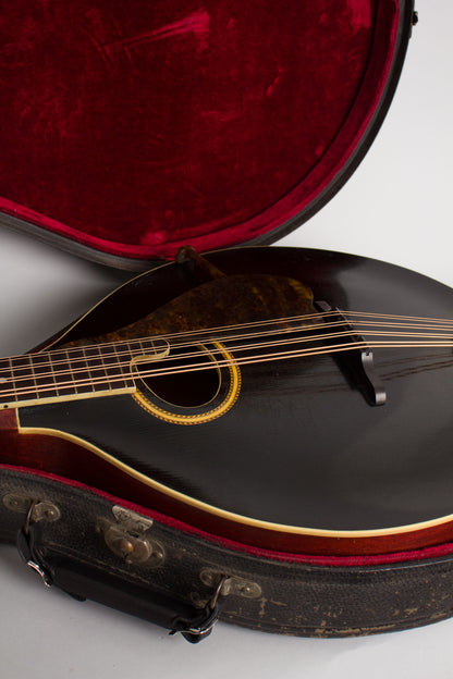 Gibson K-2 Carved Top Mandocello (1913)