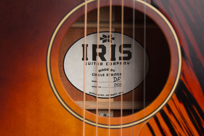 Iris DF Flat Top Acoustic Guitar