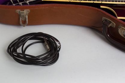Vega D-100 Hollow Body Electric Mandolin (1950)