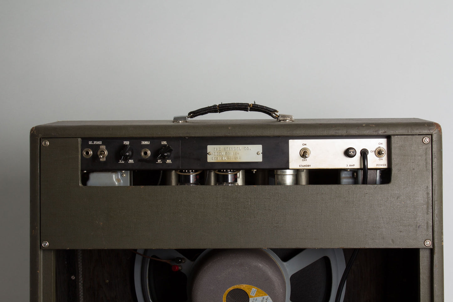 Standel Custom Model 80 L-15-V Tube Amplifier (1960)