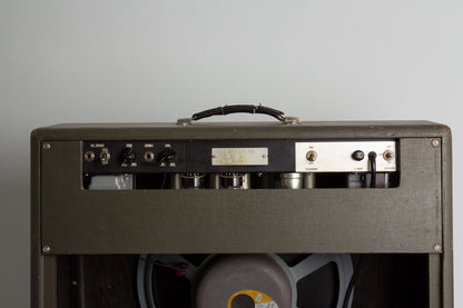 Standel Custom Model 80 L-15-V Tube Amplifier (1960)