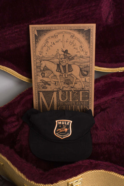 Mule Guitars Tricone Electric Made for Jeff Tweedy of Wilco Resophonic Guitar