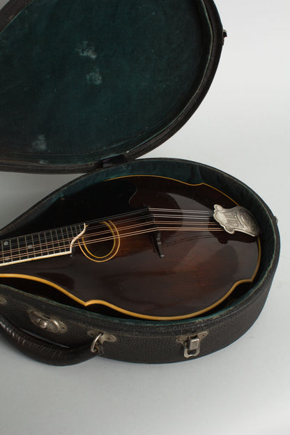 Bacon William Place Jr. Artist Model Carved Top Mandolin (1921)