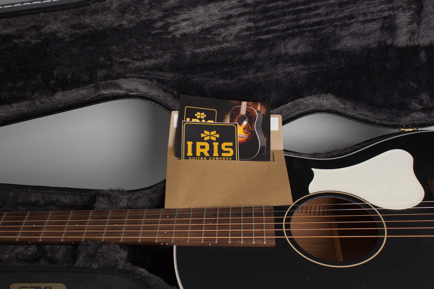 Iris OG Flat Top Acoustic Guitar (2023)