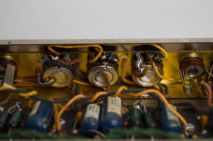 Fender Deluxe Tube Amplifier (1965)