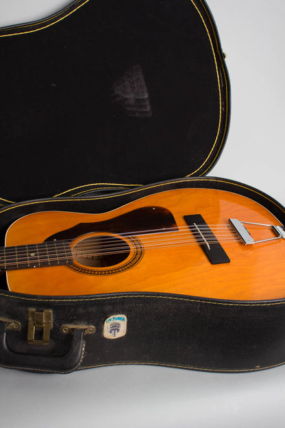 Harmony Silvertone Model 1227 12 String Flat Top Acoustic Guitar (1972)