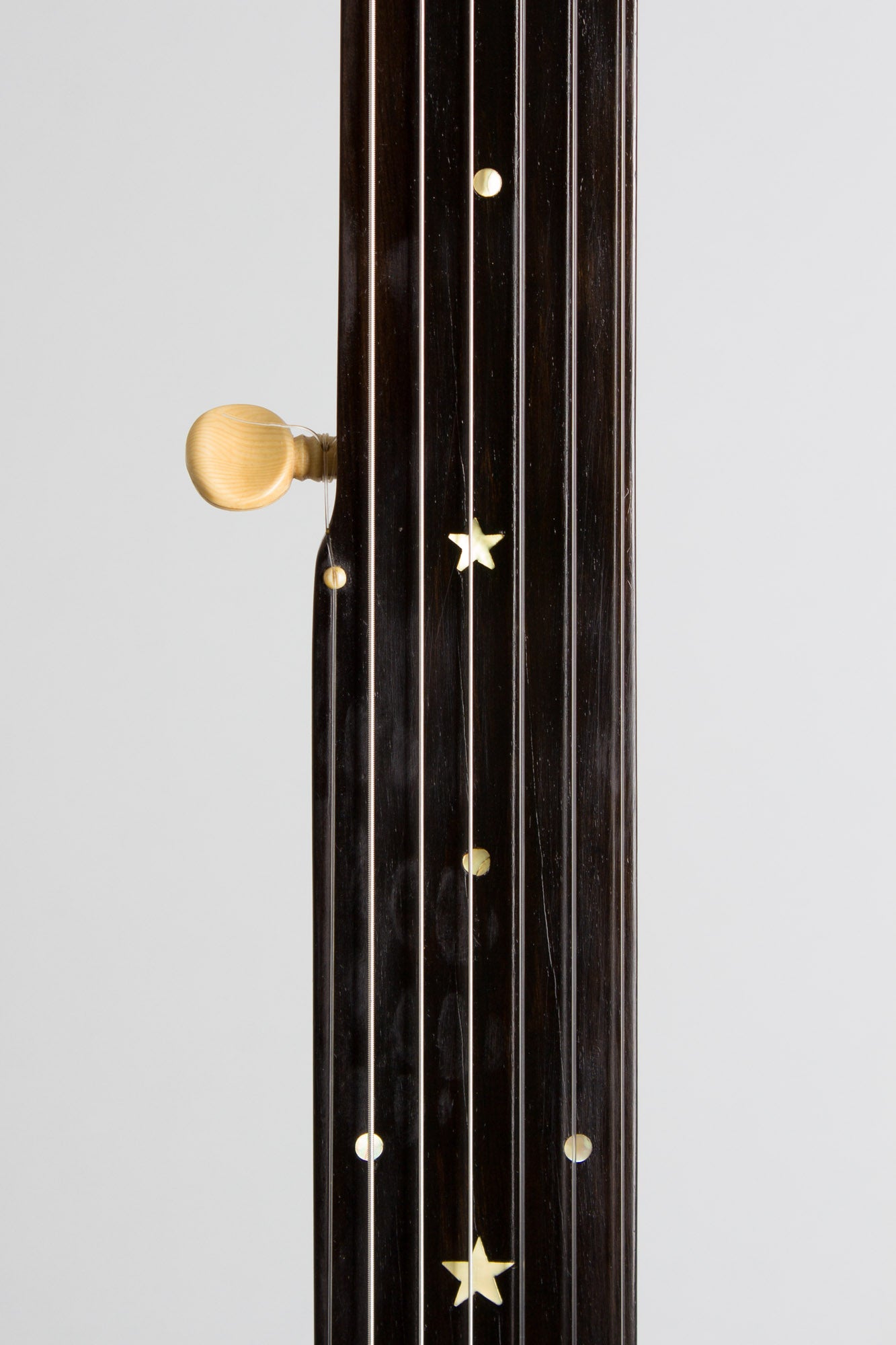 unlabelled 7 String Fretless Banjo (1890)