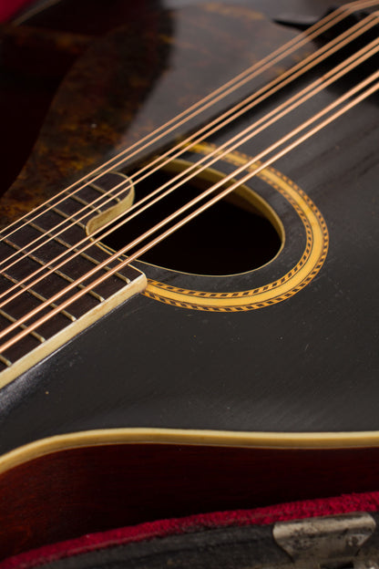 Gibson K-2 Carved Top Mandocello (1913)