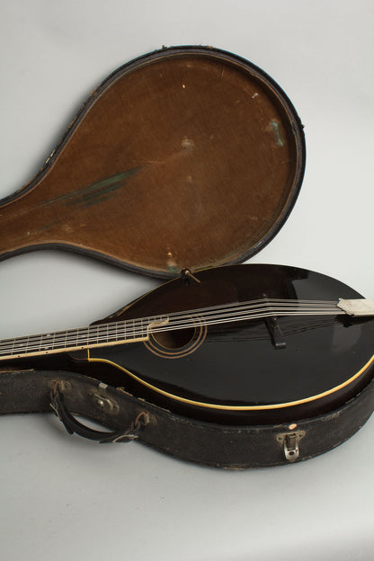 Gibson K-1 Carved Top Mandocello (1924)
