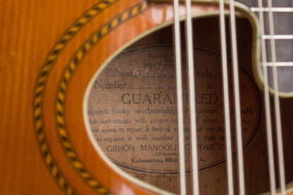 Gibson K-1 Carved Top Mandocello (1915)