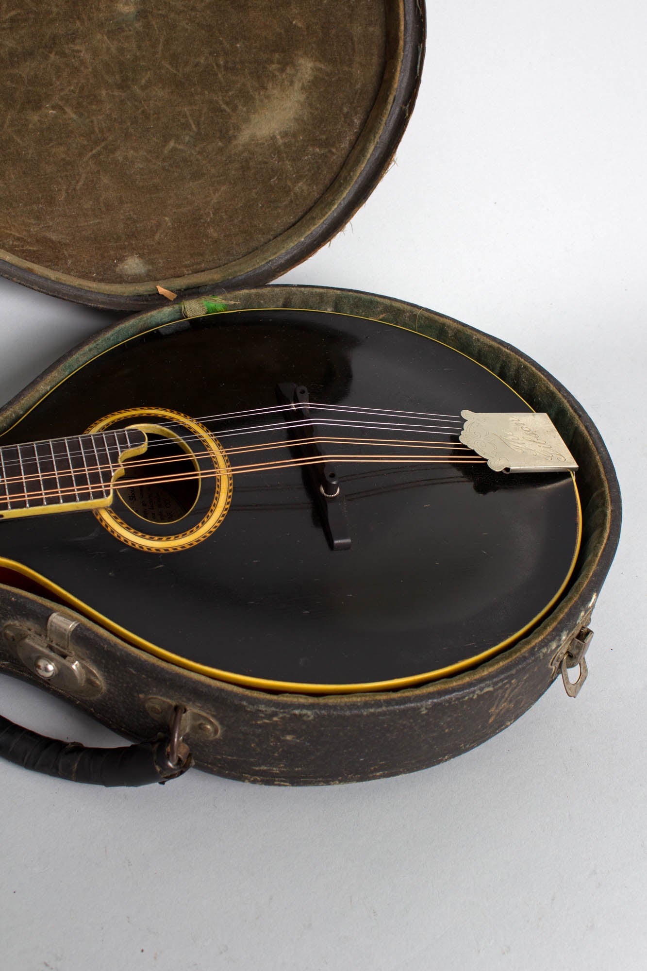 Gibson A-4 Carved Top Mandolin (1913)
