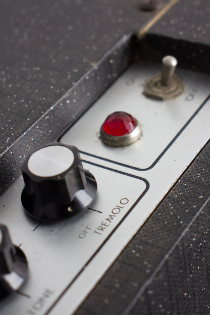 Univox U-45 Tube Amplifier (1965)