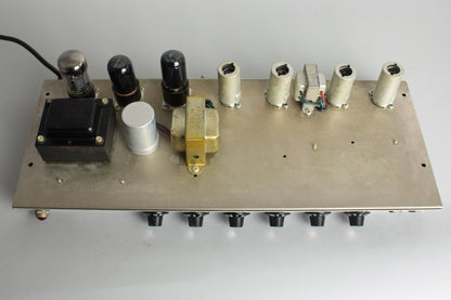 Fender Princeton Reverb Tube Amplifier (1966)