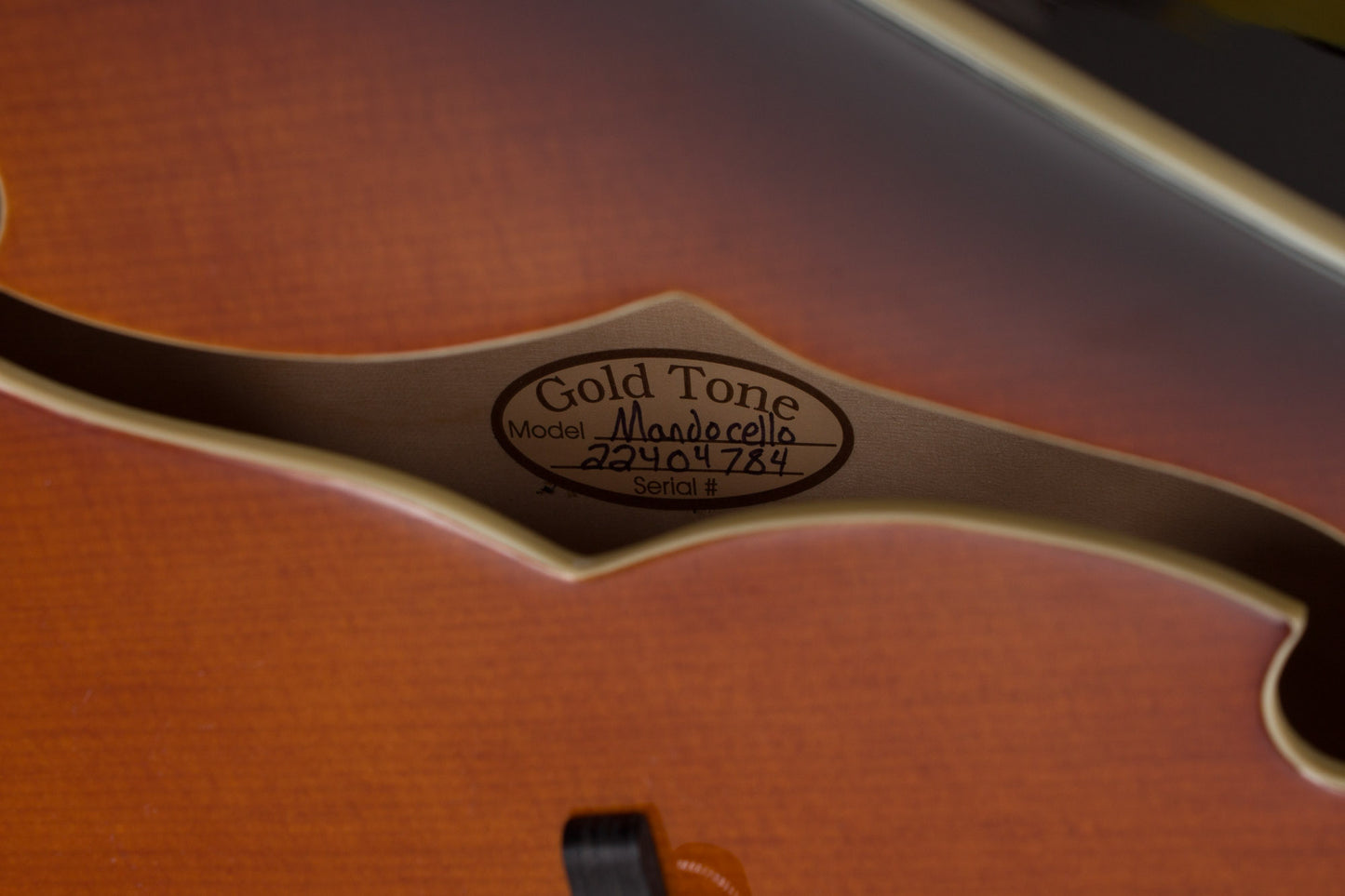 Gold Tone Arch top Mandocello (2022)