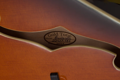 Gold Tone Arch top Mandocello (2022)